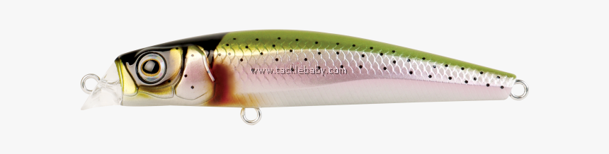 Bait Fish, HD Png Download