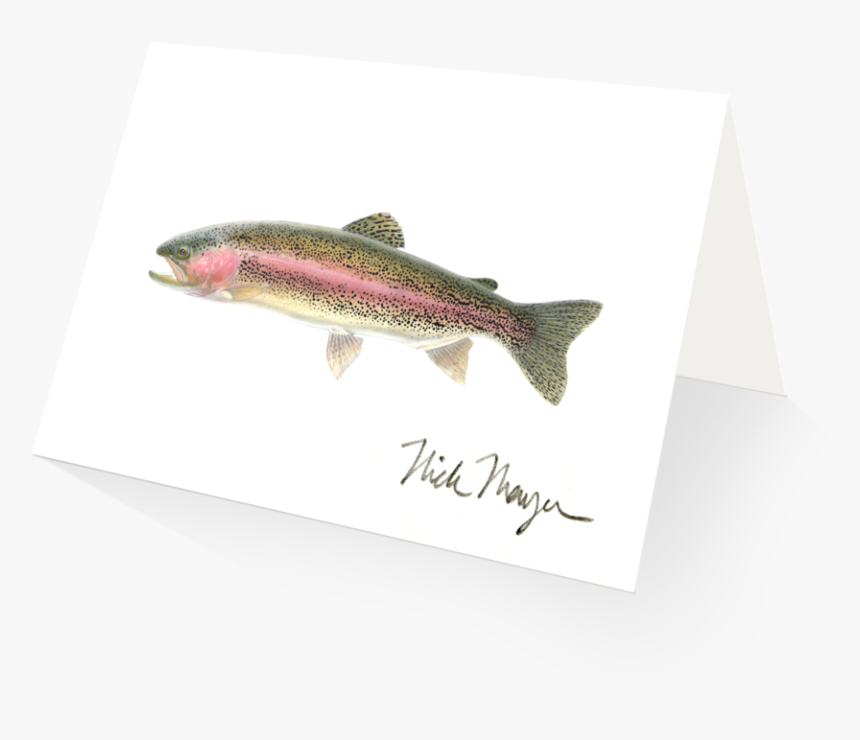Rainbow Trout - Trout, HD Png Download