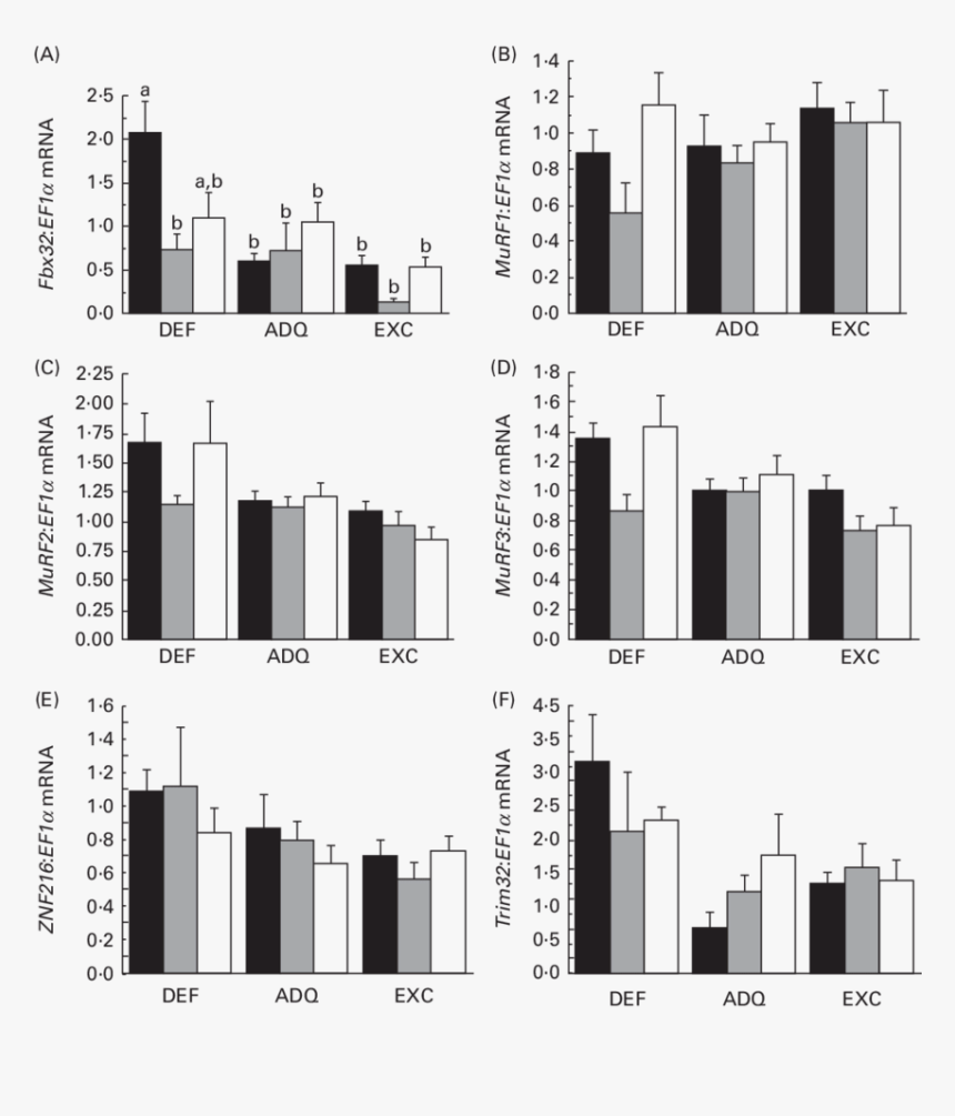 Skyscraper, HD Png Download