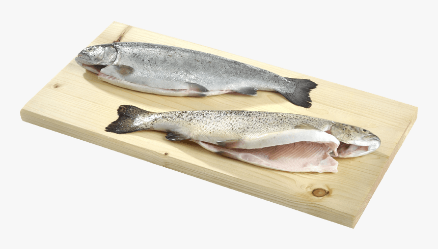 Eciens Seafood Trout Gutted - Touladi, HD Png Download