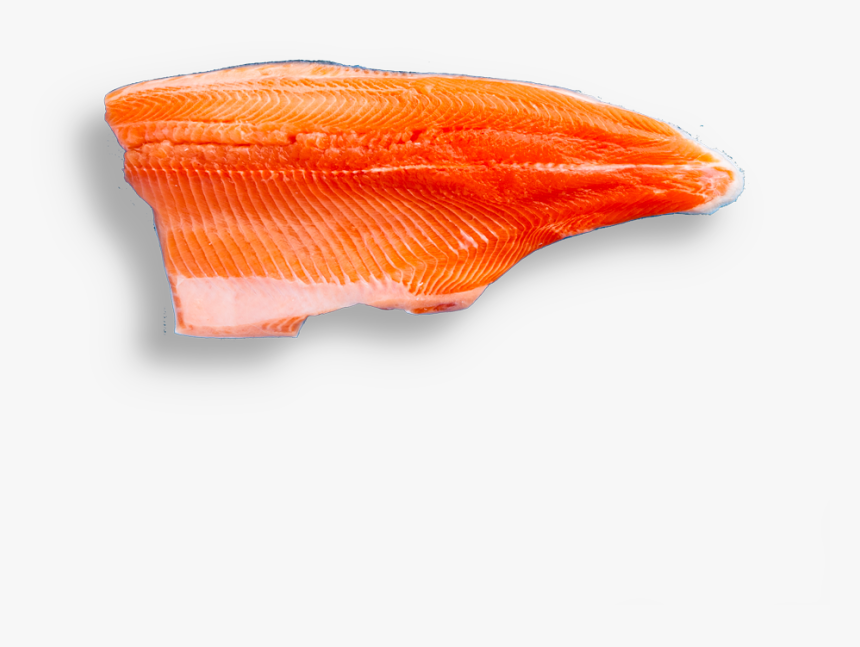Rainbow Trout - Fish Slice, HD Png Download
