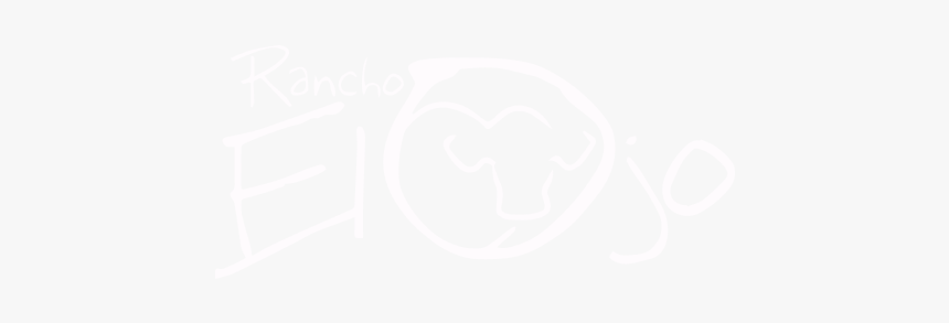 Ojo Png, Transparent Png