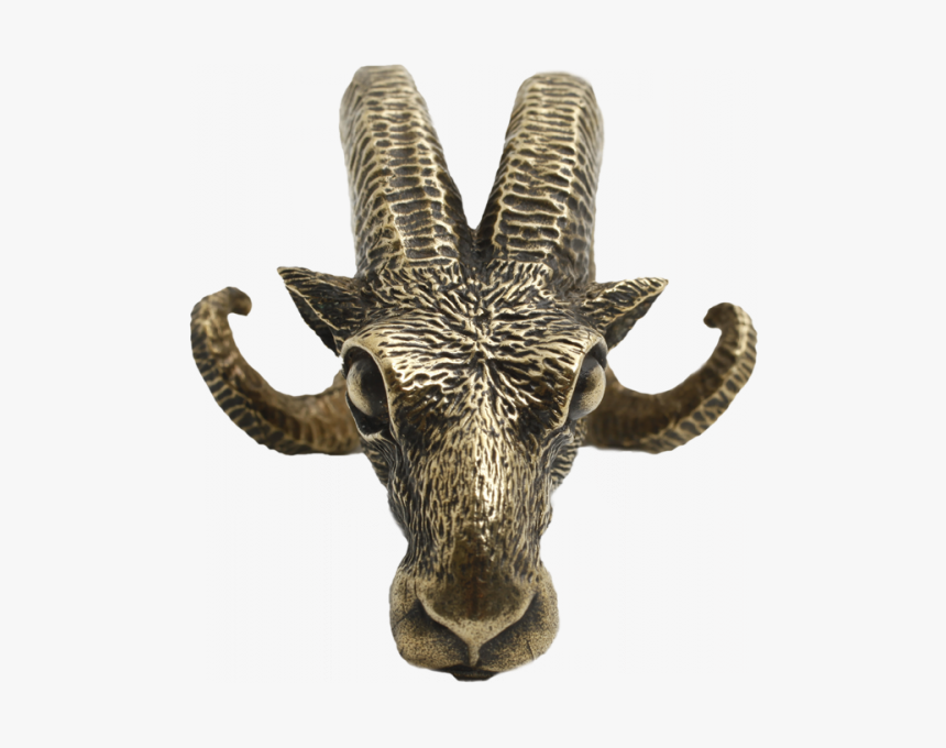 Ram Head Ear Weights , Png Download - Maya Jewelry, Transparent Png