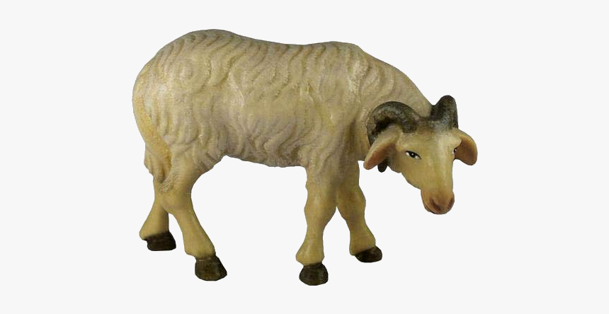 Ram Animal Png - Calf, Transparent Png