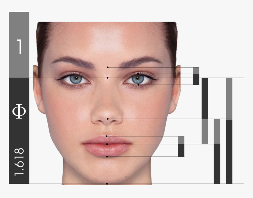 Perfect Eyebrow Shape, HD Png Download