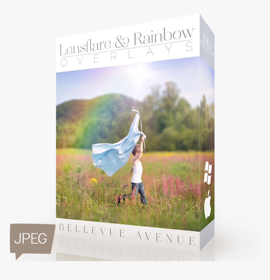 Lens Flare , Png Download - Field, Transparent Png