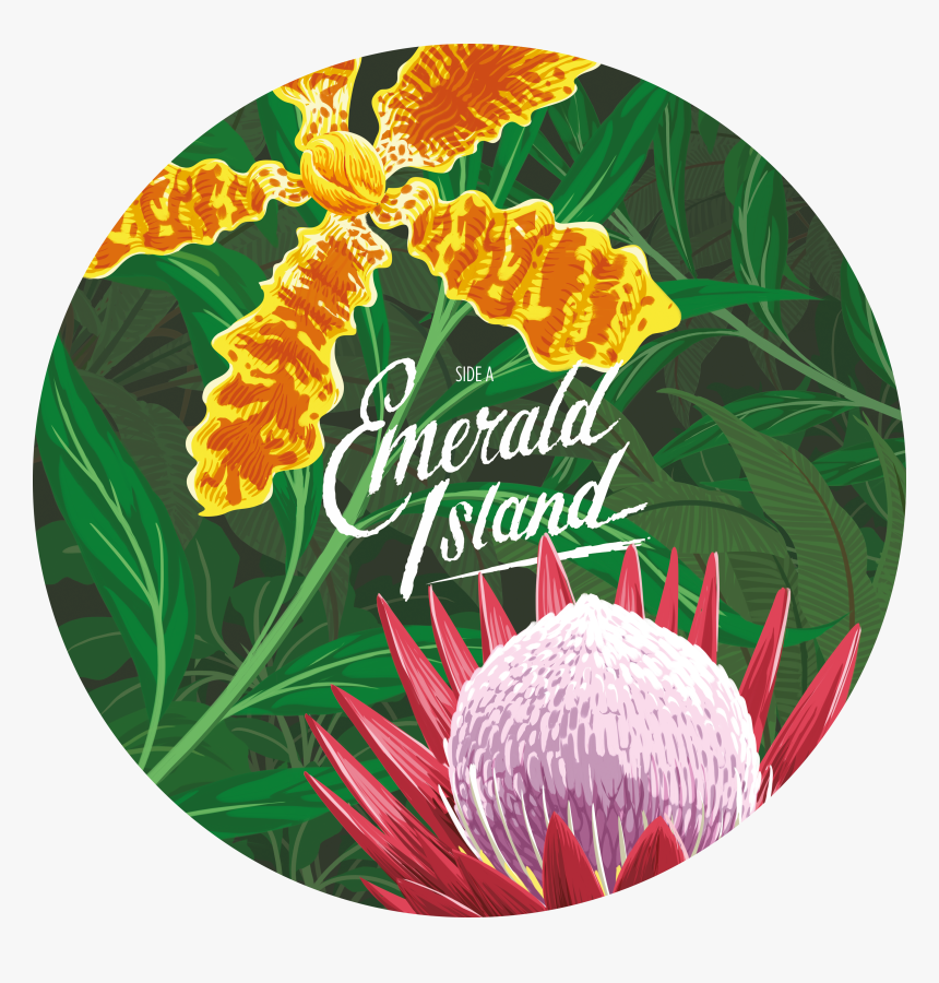 Caro Emerald Emerald Island, HD Png Download