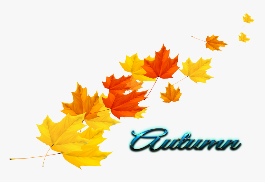 Autumn Leaves Transparent - Autumn Leaf Vector Png, Png Download
