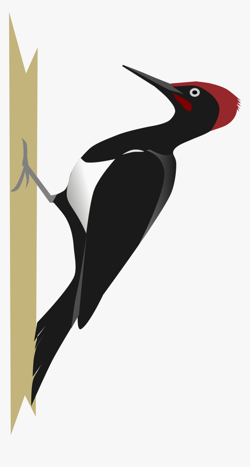 Woodpecker Png - Woodpecker Clipart Png, Transparent Png