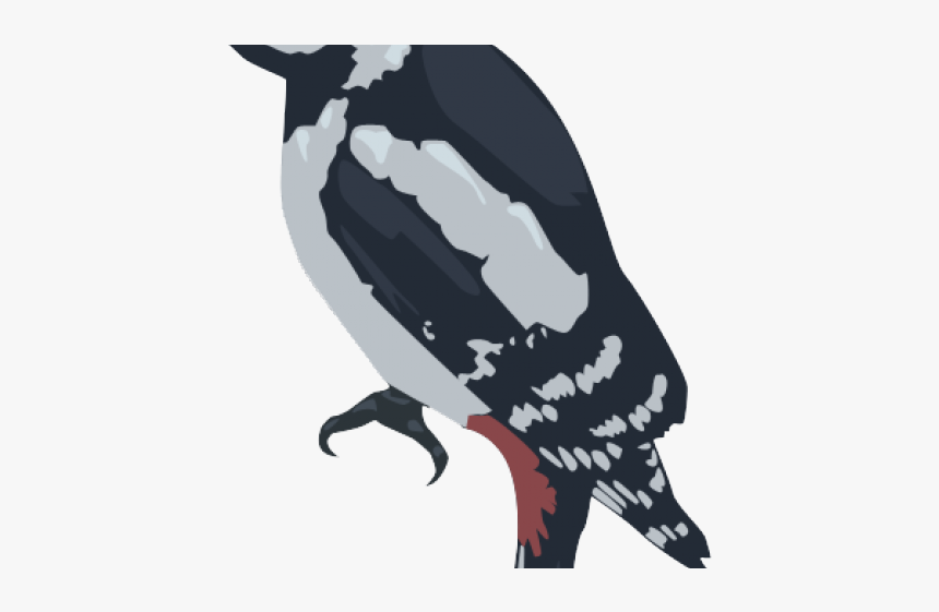Woodpecker Png Transparent Images - Adã©lie Penguin, Png Download