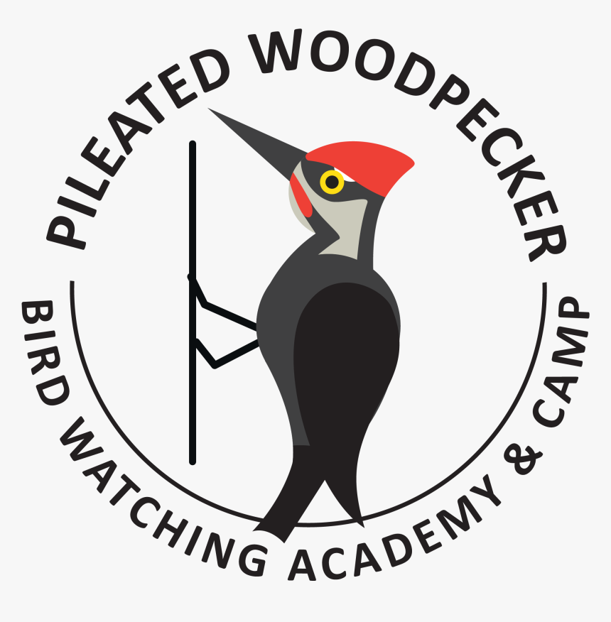 Pileated Woodpecker Picture - Gambar Pin Nabi Muhammad, HD Png Download