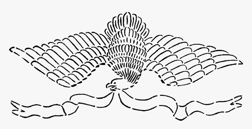 Line Art, HD Png Download