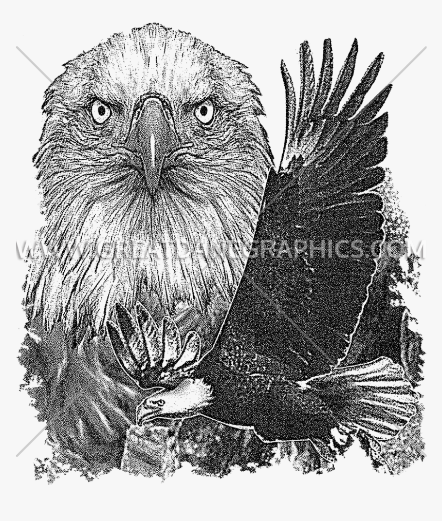 Portrait, HD Png Download