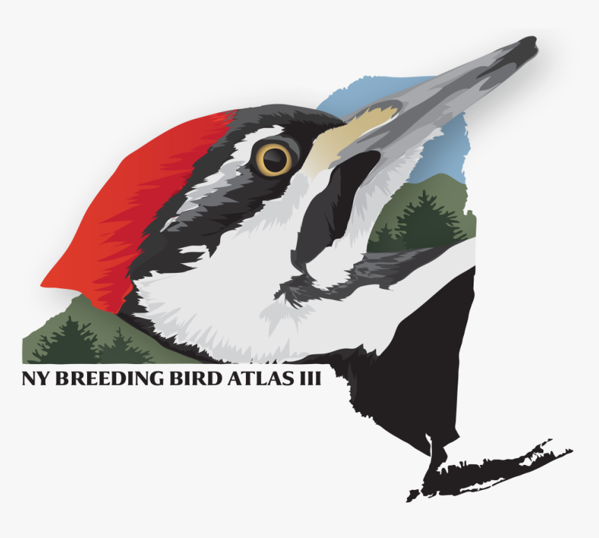 Ny Breeding Bird Atlas, HD Png Download