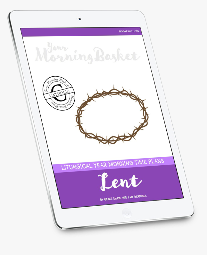 Bracelet, HD Png Download