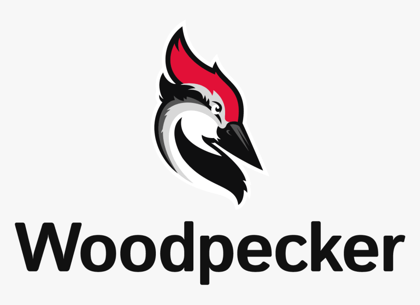 Woodpecker, HD Png Download
