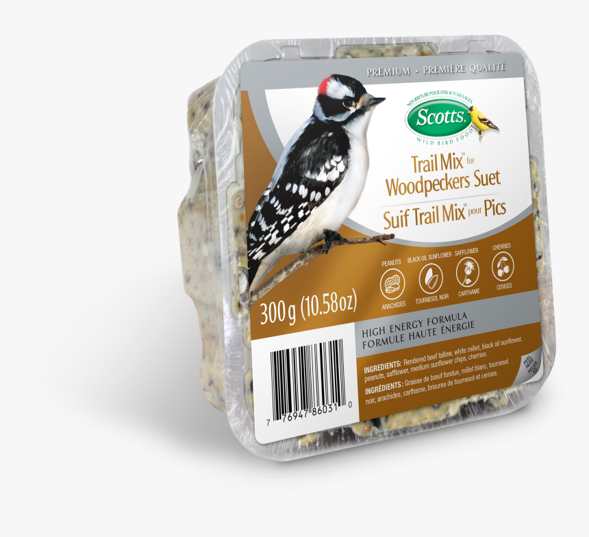 Leuconotopicus, HD Png Download