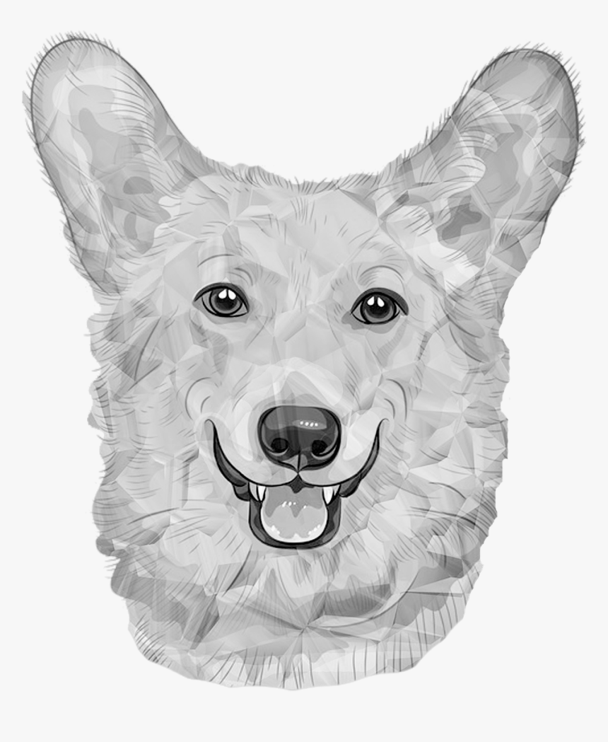 Dog German Dog White Dogs Free Photo - Dog, HD Png Download