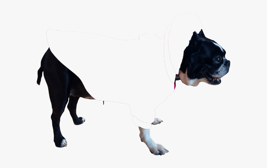 Great Dane, HD Png Download