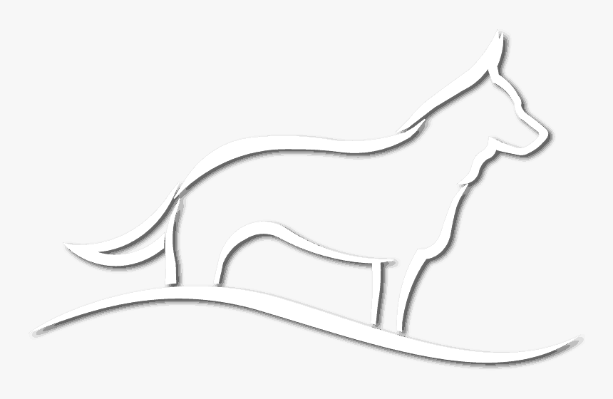 Southeast Animal Hospital - Dog, HD Png Download
