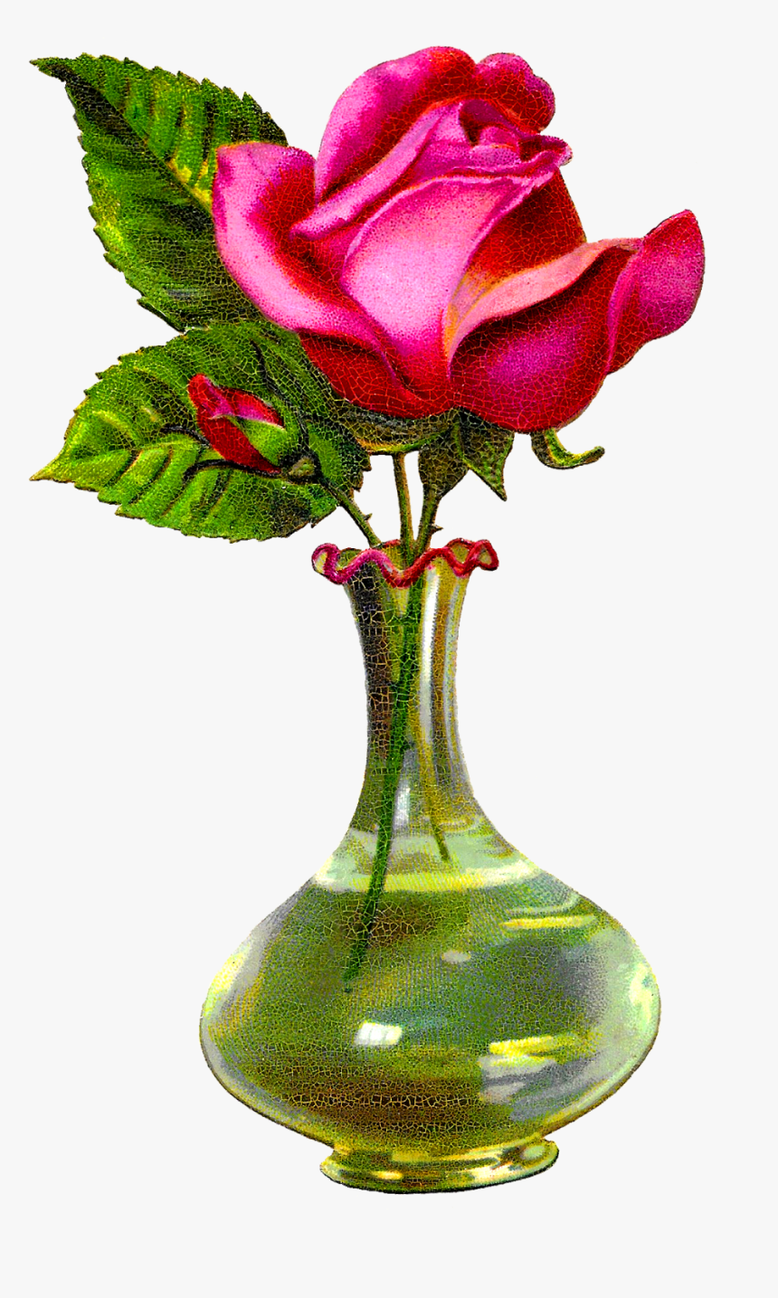 Antique Images Pink Rose - Rose Flower With Vase, HD Png Download