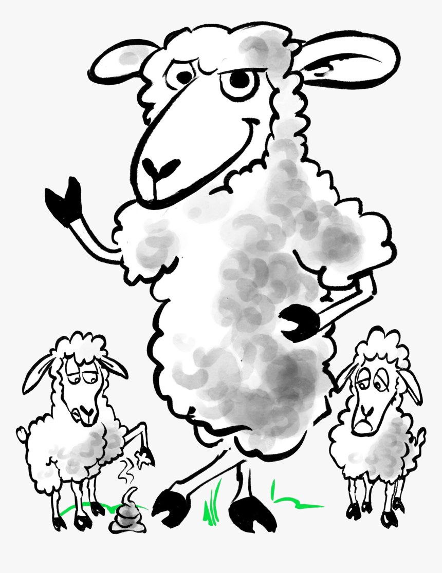 Transparent Flock Of Sheep Clipart - Cartoon, HD Png Download