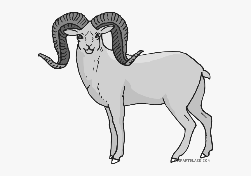Clip Art Bighorn Sheep Clipart - Bighorn Sheep Clip Art, HD Png Download