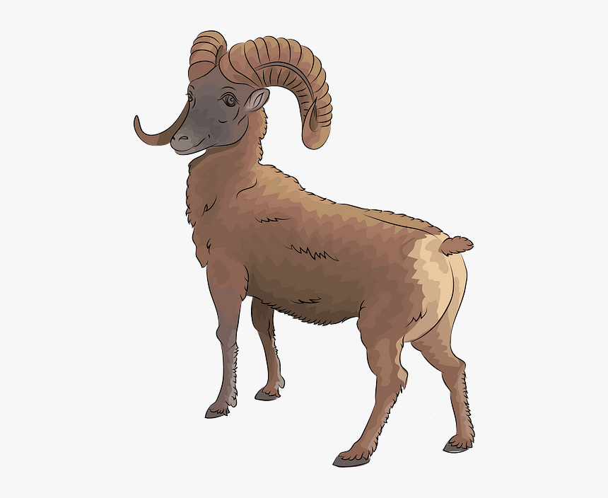 Bighorn, HD Png Download