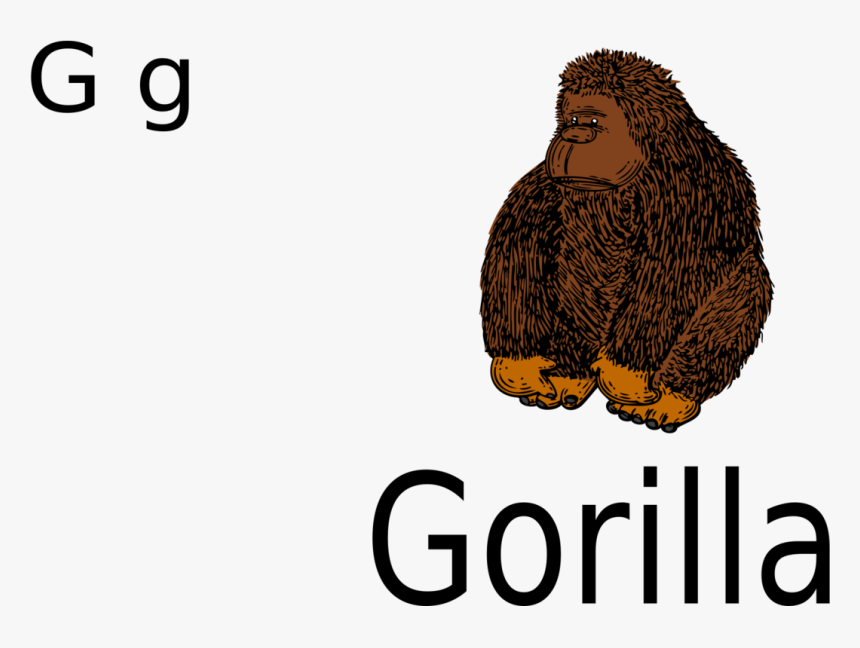 Owl,eagle,text - Gorilla, HD Png Download