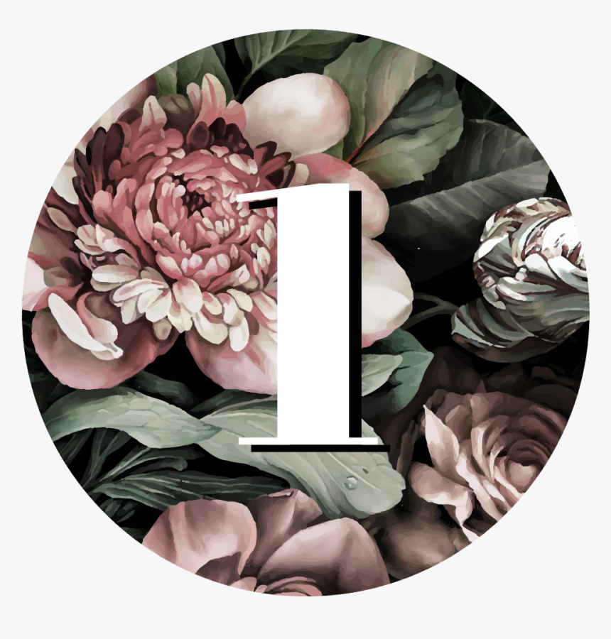 Echeveria, HD Png Download