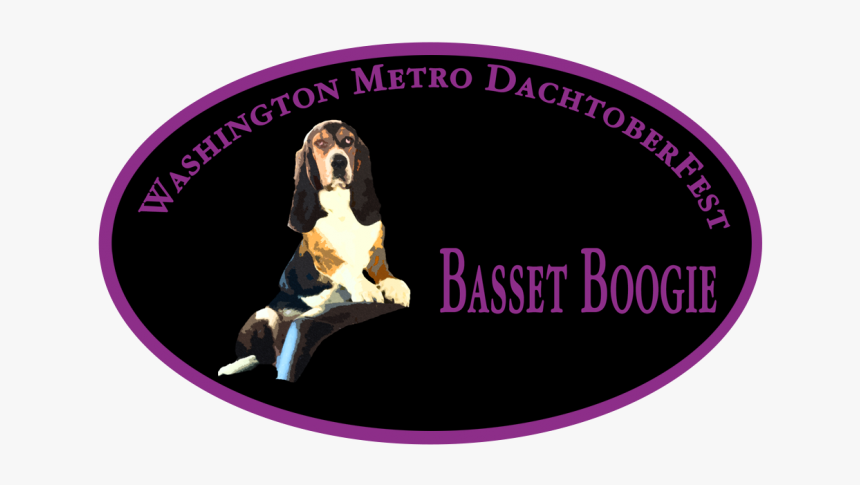 Fc Belshina Bobruisk, HD Png Download