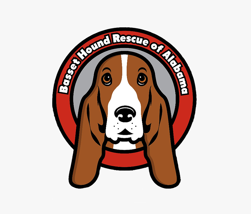 Basset Hounds, HD Png Download