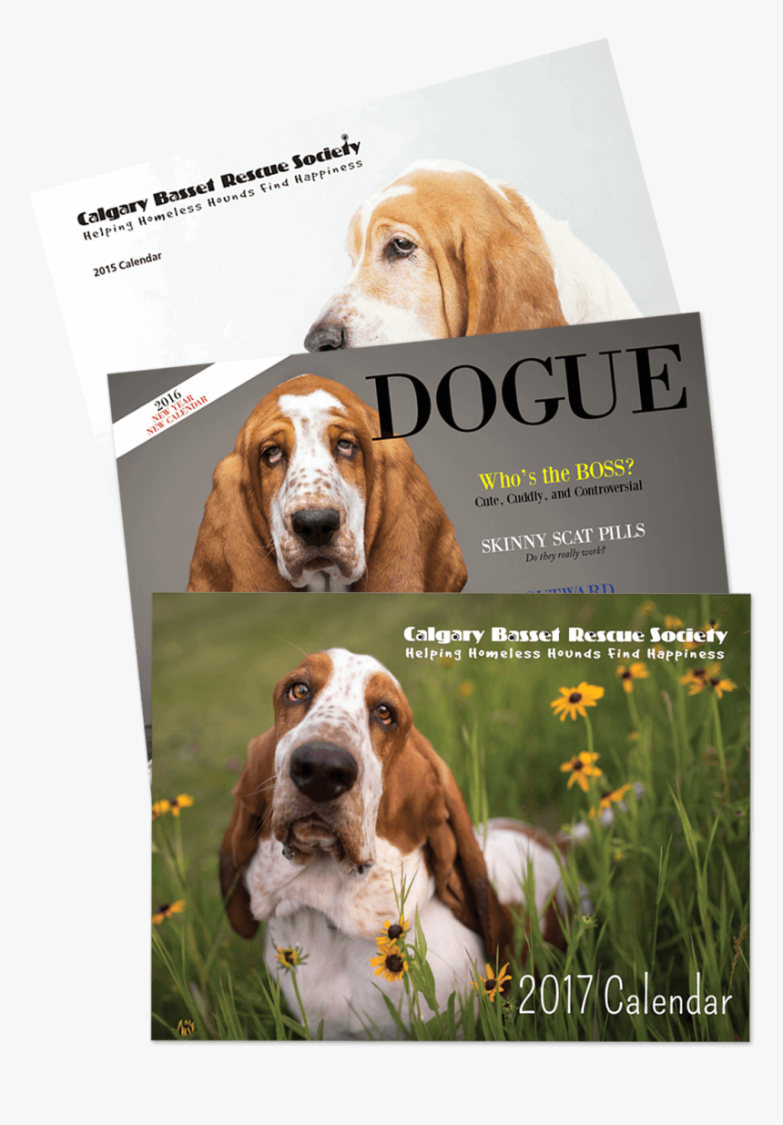 But Since I Can T, I Have Found A Way To Use My Skills - Basset Hound, HD Png Download