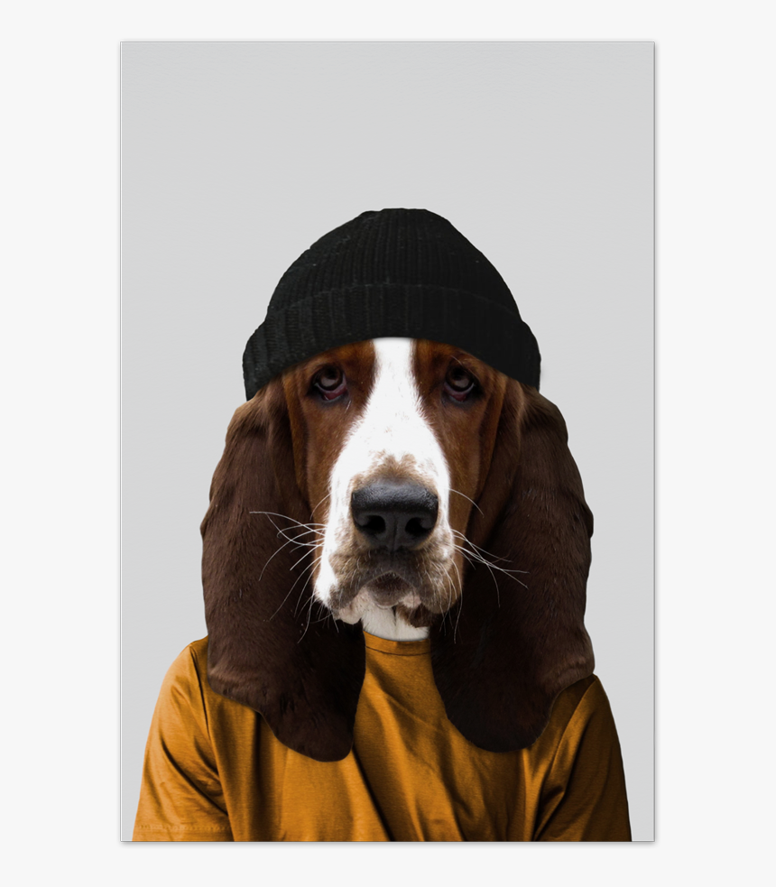 Fred The Basset Hound Art Card - Dogs Dressed Like People, HD Png Download