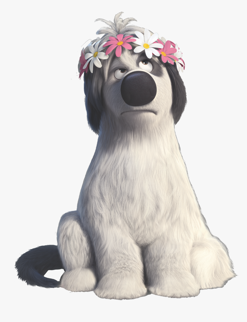 Afghan-hound - Touro Ferdinando Paco, HD Png Download