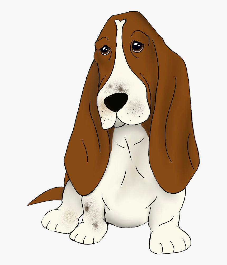 Dottie Ross - Basset Hound, HD Png Download