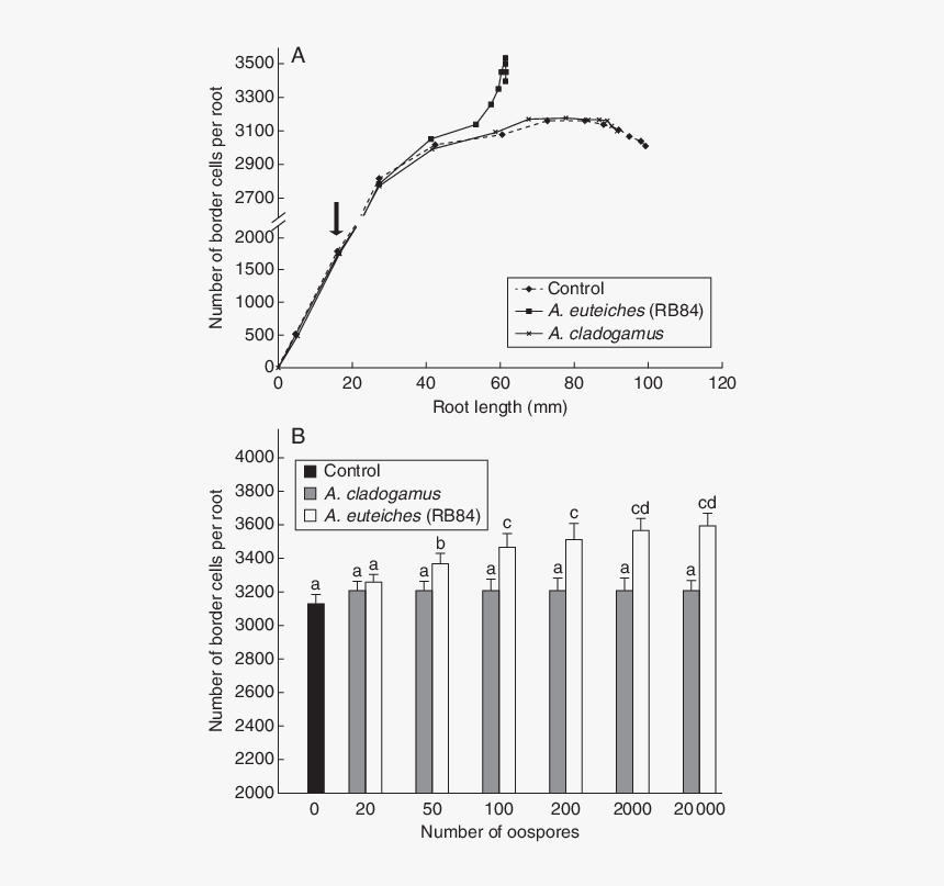 Diagram, HD Png Download