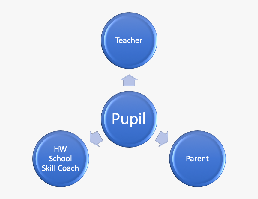 Final Pupil Model - Ccp Haccp, HD Png Download