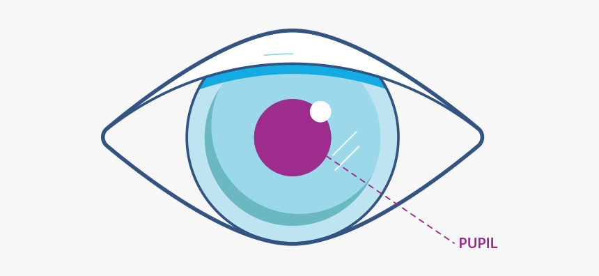 Circle, HD Png Download