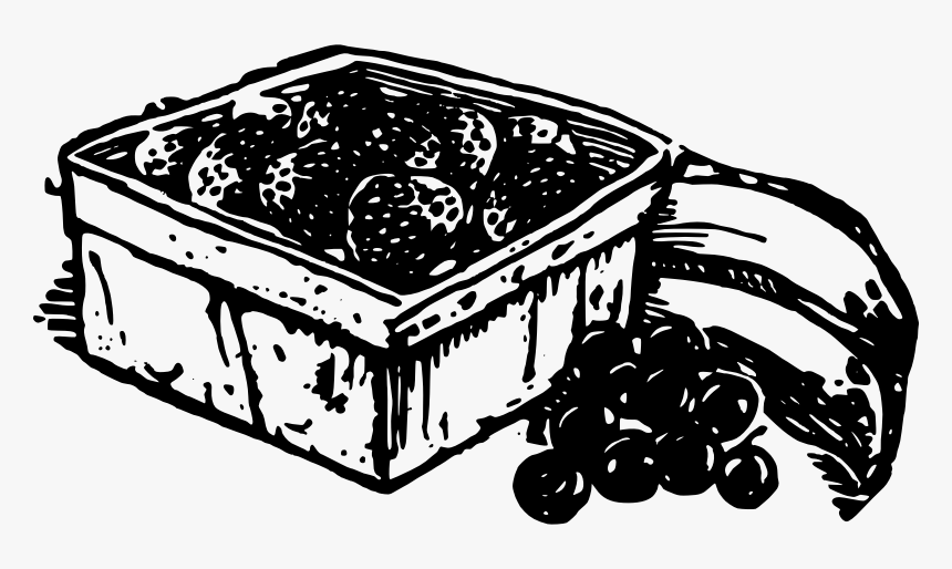 Fruit - Illustration, HD Png Download