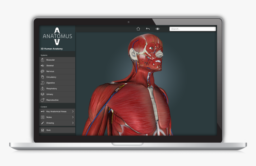 Led-backlit Lcd Display, HD Png Download