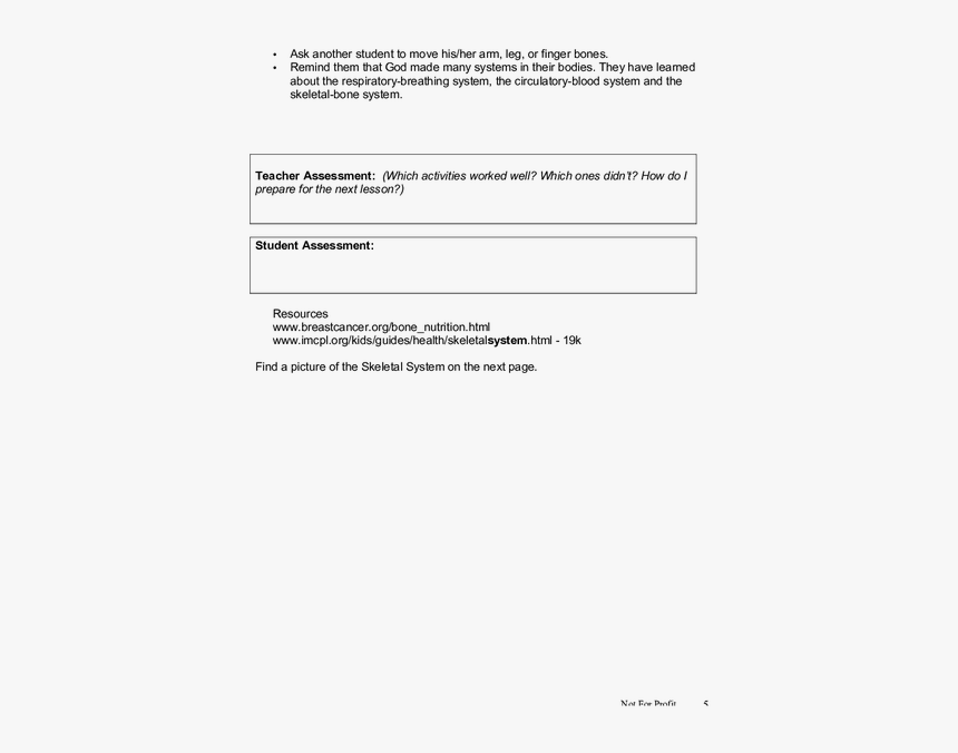 Skeletal System Png, Transparent Png