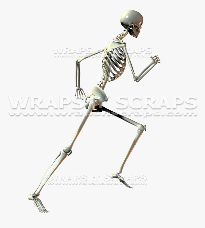 Clip Art Human Wraps N Scraps - Nordic Walking, HD Png Download