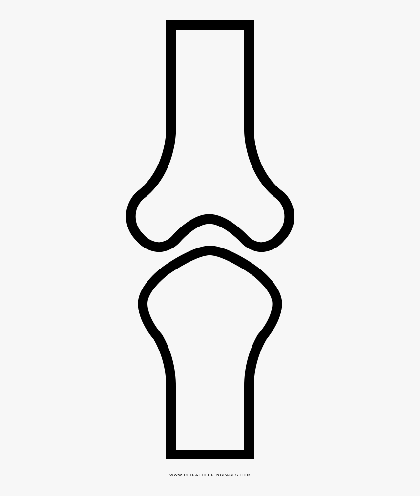 Skeletal System Coloring Page - Skeletal System Icon, HD Png Download