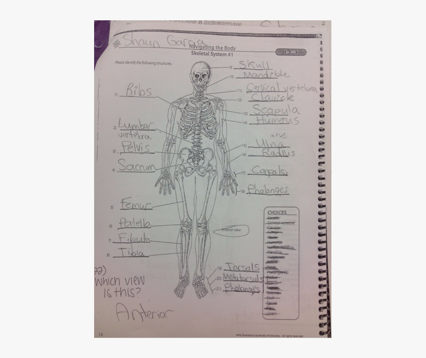 Sketch, HD Png Download