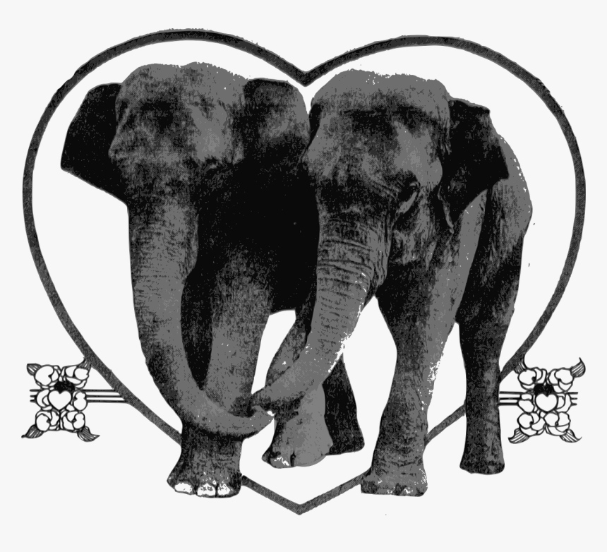 Art Elephant Lover, HD Png Download