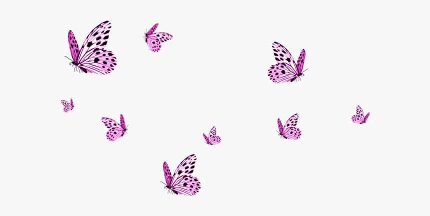 Transparent Background Butterfly Png, Png Download