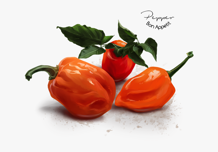 Habanero Chili , Png Download - Habanero Chili, Transparent Png