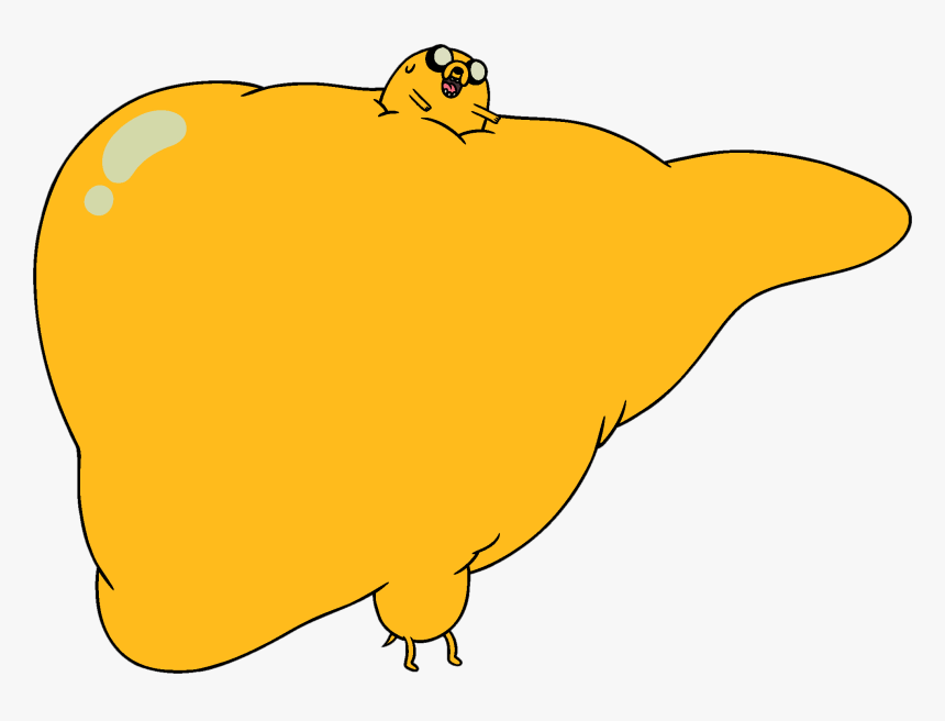 Adventure Time With Finn And Jake Wiki Jake The Dog Stretching, HD