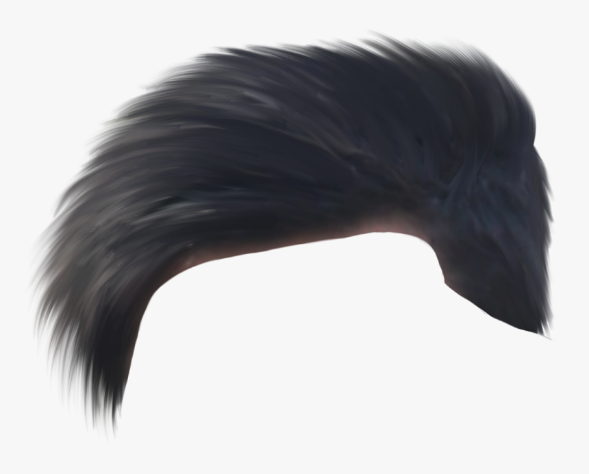 Canada Goose, HD Png Download